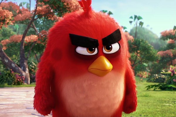Film Angry Birds
