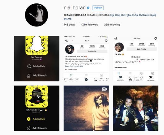 Halaman instagram Niall Horan | thesun.co.uk