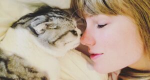 5 Kucing Terkaya yang Punya Duit Berjibun, Ada Punya Taylor Swift!