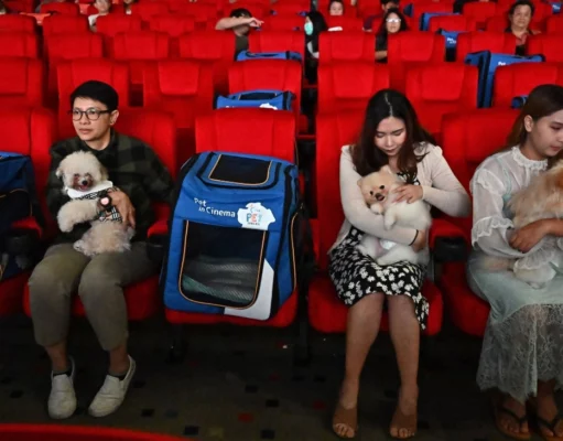 Di Thailand Ada Bioskop yang Bisa Bawa Hewan Peliharaan